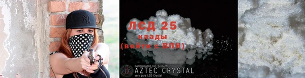 стафф Алзамай