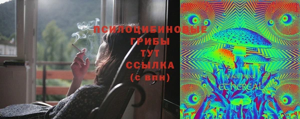 амф Абдулино