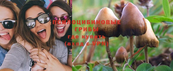прущий лед Алексеевка