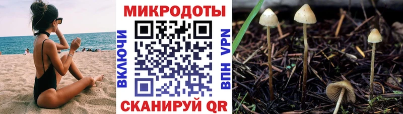 Псилоцибиновые грибы ЛСД  KRAKEN сайт  Бронницы 